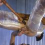 Men On Edge: Josh Hunter - Part 2 Gay Fisting & BDSM