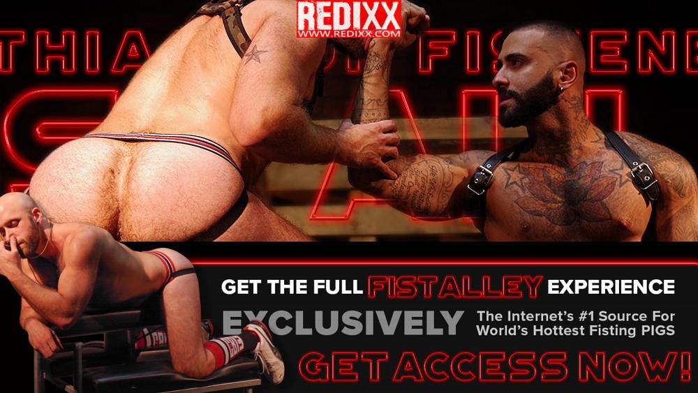 Fist Alley - Review 2