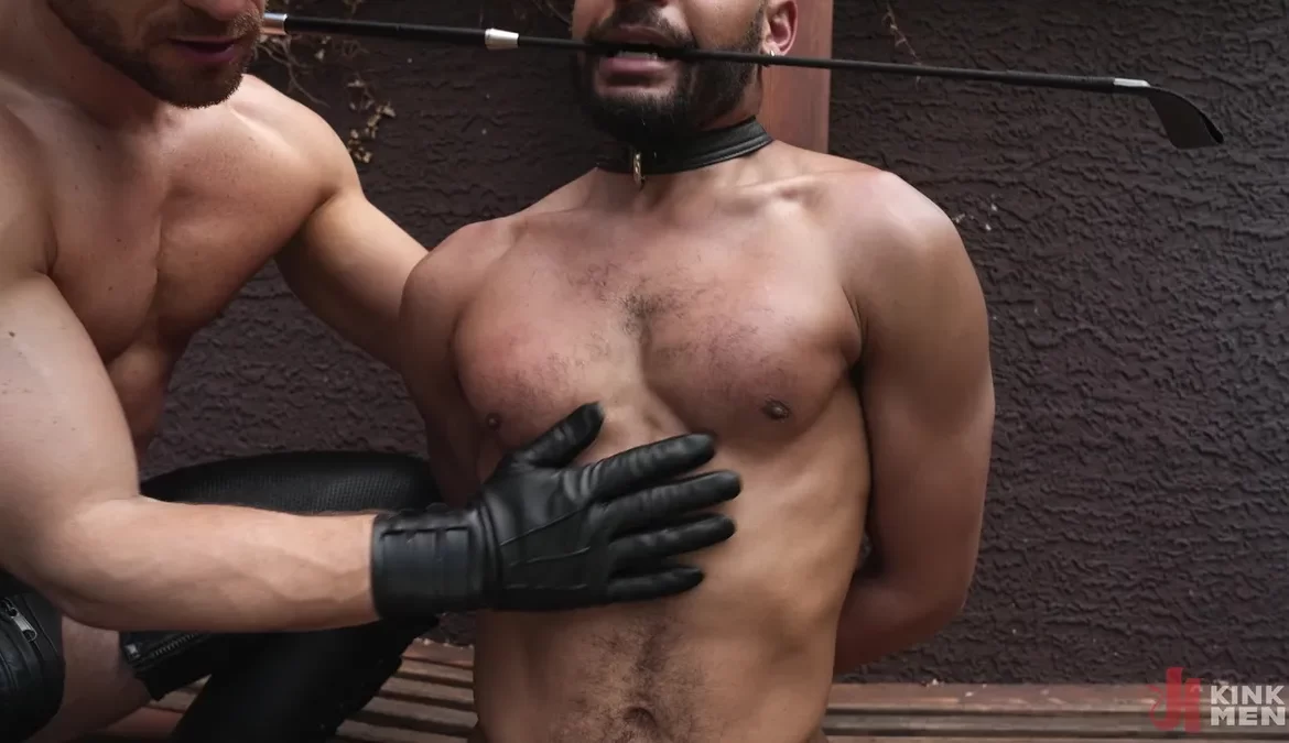 CK Rogers – Master Johnny Donovan’s New Plaything 3