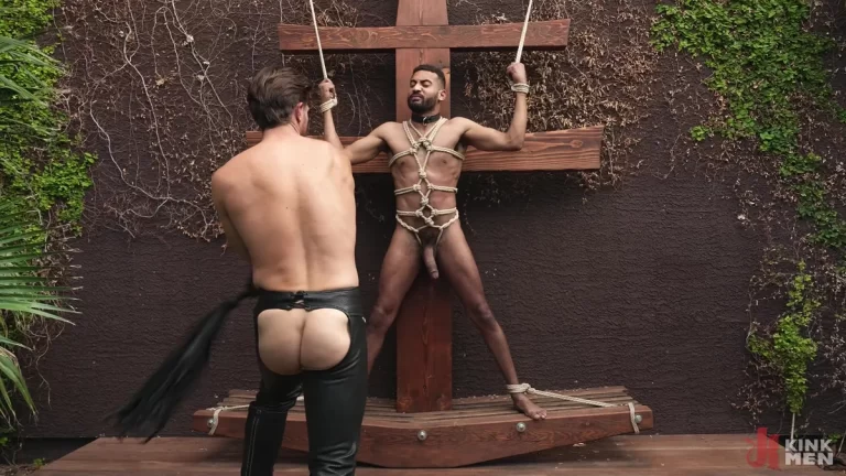 CK Rogers – Master Johnny Donovan’s New Plaything 7