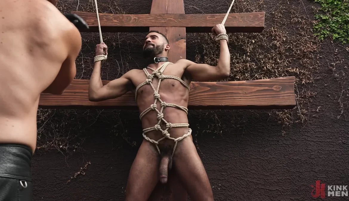 CK Rogers – Master Johnny Donovan’s New Plaything 8