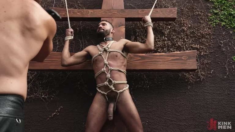 CK Rogers – Master Johnny Donovan’s New Plaything 8